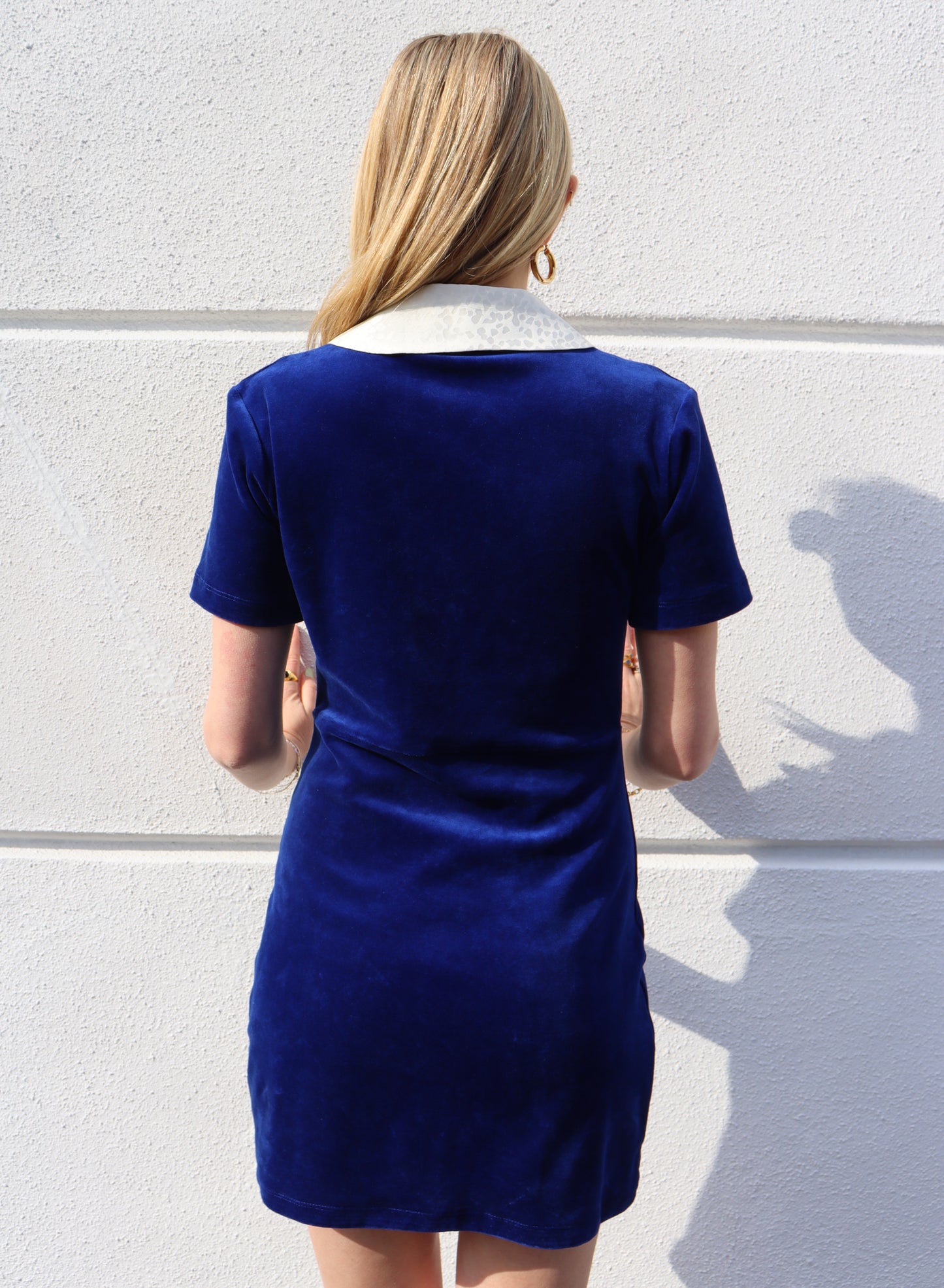 Antonette Velvet Dress